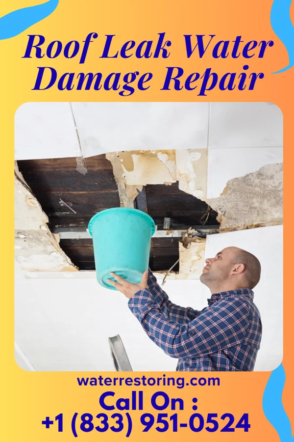 Roof Leak Water Damage Repair in Kiowa, KS