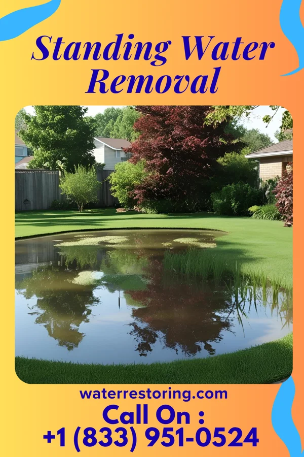 Standing Water Removal in Kiowa, KS